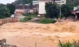 德庆最新爆料,揭秘神秘事件背后的惊人真相